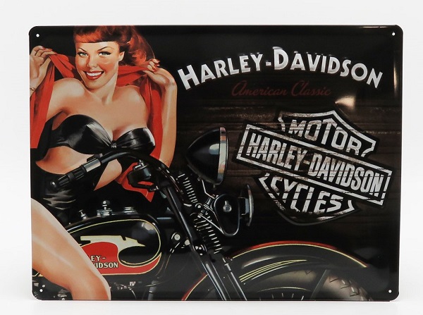 3D Metal Plate - Harley-Davidson American Classic Biker Babe (Largh.Width cm.40 X Alt.Height cm.30) 3D23223 Модель 1:1