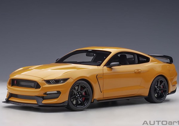Ford Shelby Mustang GT 350 R