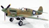 Модель 1:35 Colonel John Landers`s P-40E model «Texas Longhorn»
