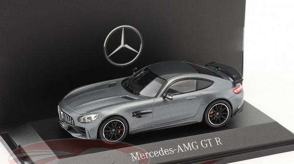 Модель 1:43 Mercedes-AMG GT R - matt grey